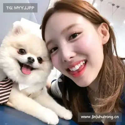 皮蝶研